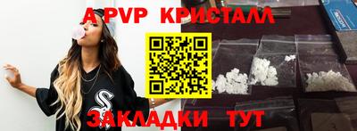 СК Бийск
