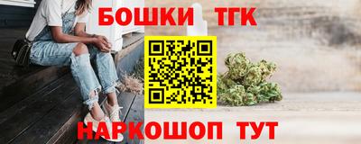 СК Бийск
