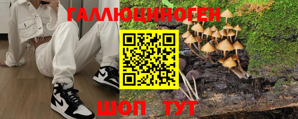 Галлюциногенные грибы Magic Shrooms  Вход с VPN  Гай 