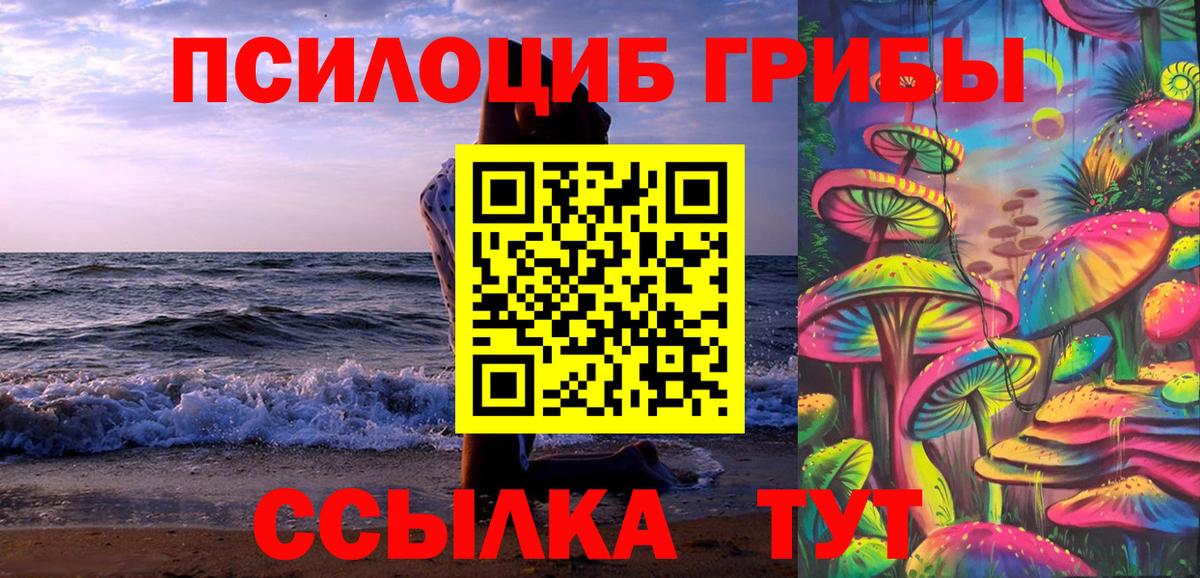 Галлюциногенные грибы MAGIC MUSHROOMS Гай